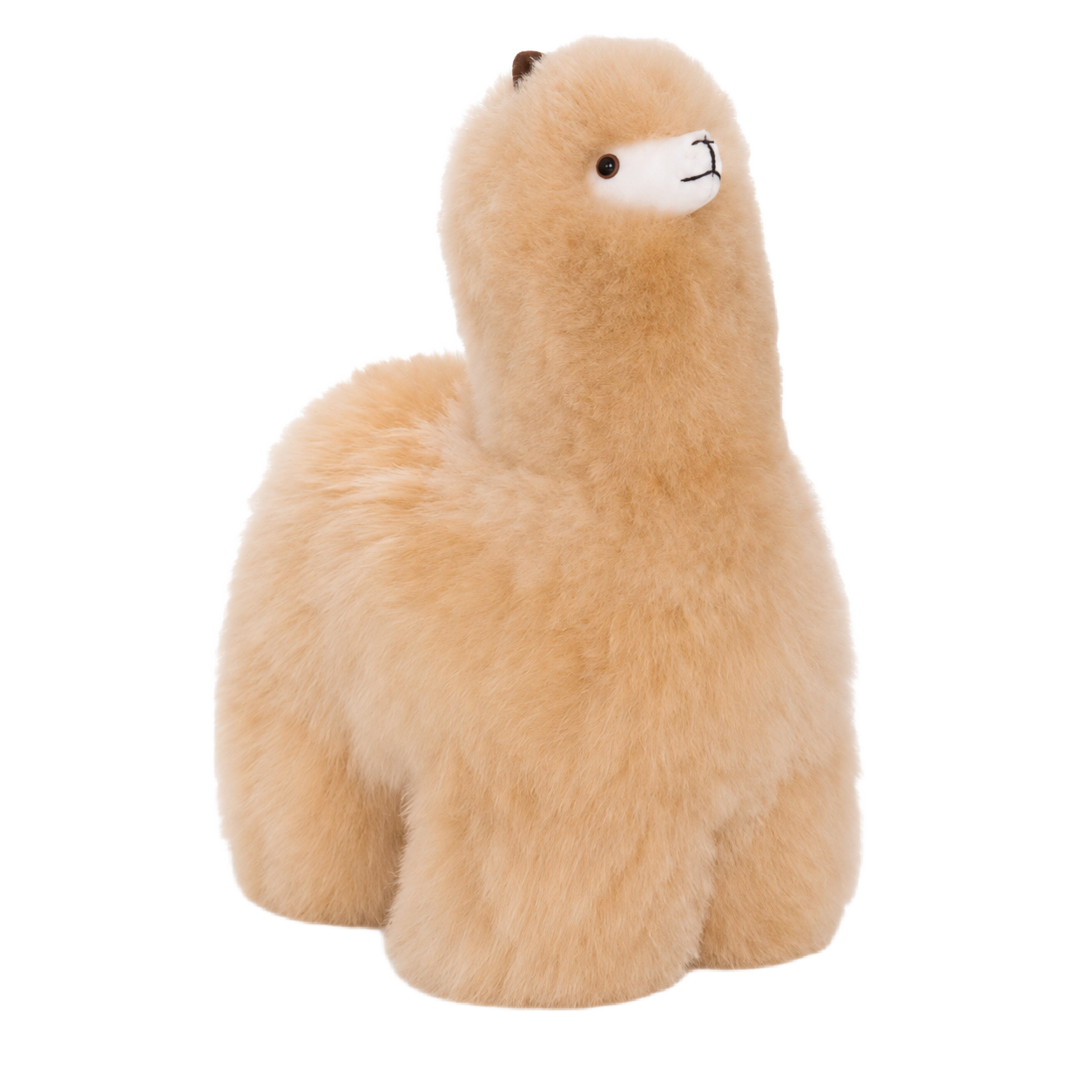 Альпака